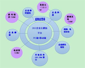 二六三 瞄準未來，鑄就企業互聯網通信與信息服務王牌